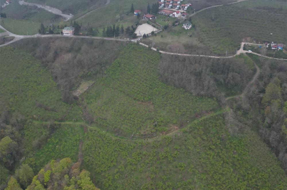 CENTURY 21'DEN KARADENİZ’E KARŞI DOĞAYLA İÇ İÇE 5.600 m² ÖZEL ARAZİ
