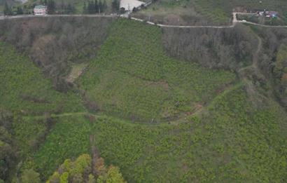 CENTURY 21'DEN KARADENİZ’E KARŞI DOĞAYLA İÇ İÇE 5.600 m² ÖZEL ARAZİ