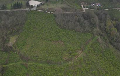 CENTURY 21'DEN KARADENİZ’E KARŞI DOĞAYLA İÇ İÇE 5.600 m² ÖZEL ARAZİ