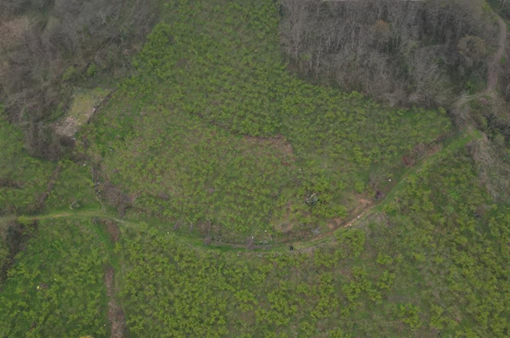 CENTURY 21'DEN KARADENİZ’E KARŞI DOĞAYLA İÇ İÇE 5.600 m² ÖZEL ARAZİ