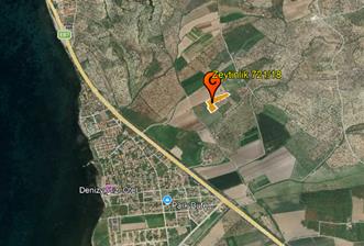 C21 Bal'dan Balıkesir Ayvalık Gazi Kemalpaşa’da Satılık Zeytinlik - 3 - 33951
