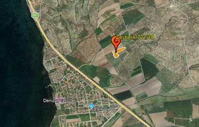 C21 Bal'dan Balıkesir Ayvalık Gazi Kemalpaşa’da Satılık Zeytinlik