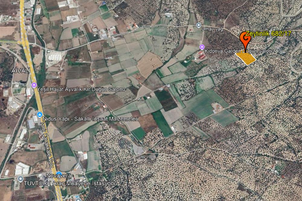 C21 Bal'dan Balıkesir Ayvalık Gazi Kemalpaşa’da Satılık Zeytinlik