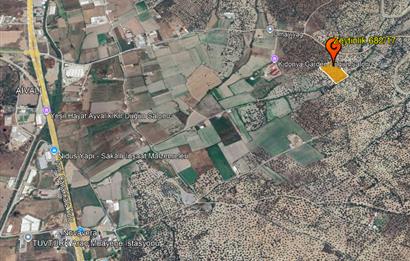 C21 Bal'dan Balıkesir Ayvalık Gazi Kemalpaşa’da Satılık Zeytinlik
