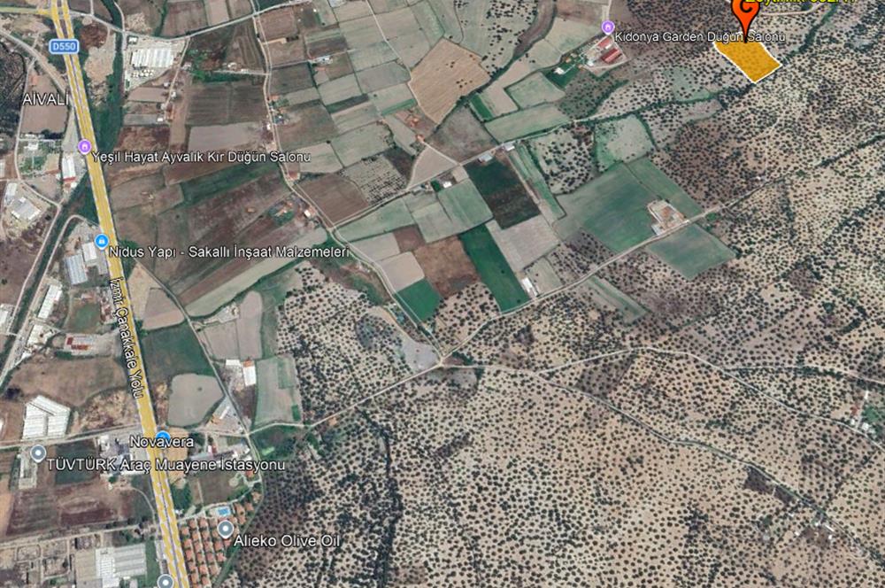 C21 Bal'dan Balıkesir Ayvalık Gazi Kemalpaşa’da Satılık Zeytinlik