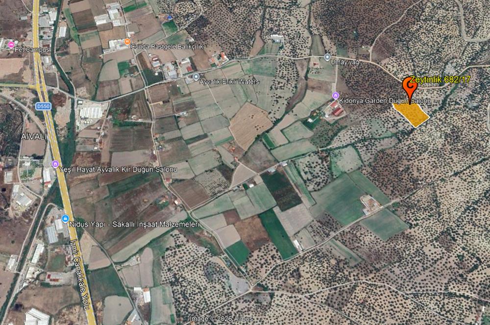 C21 Bal'dan Balıkesir Ayvalık Gazi Kemalpaşa’da Satılık Zeytinlik