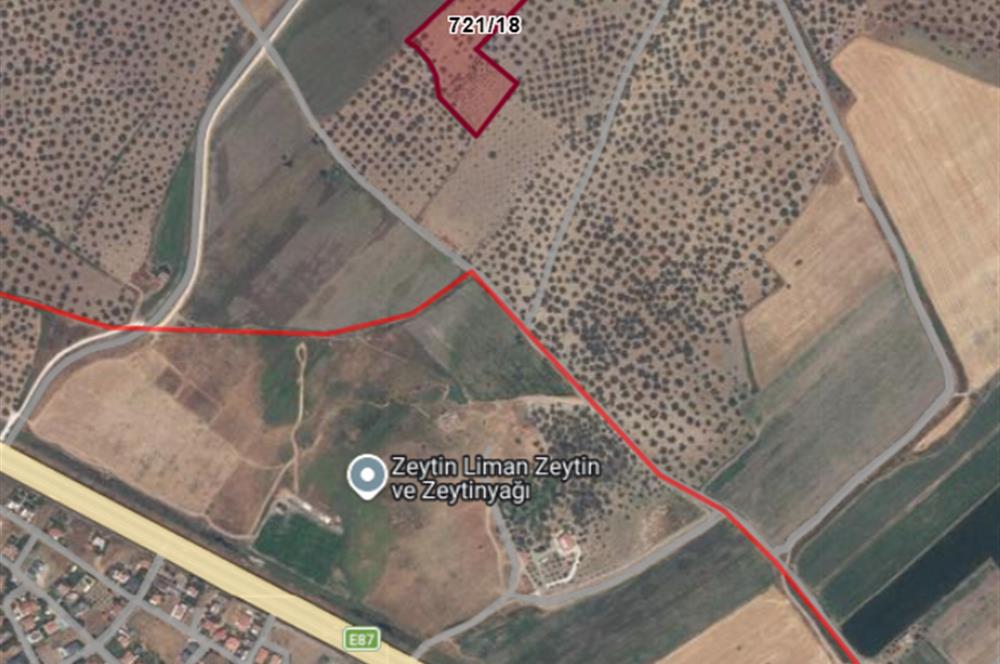 C21 Bal'dan Balıkesir Ayvalık Gazi Kemalpaşa’da Satılık Zeytinlik