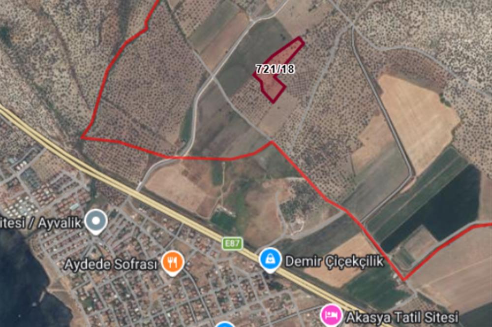 C21 Bal'dan Balıkesir Ayvalık Gazi Kemalpaşa’da Satılık Zeytinlik