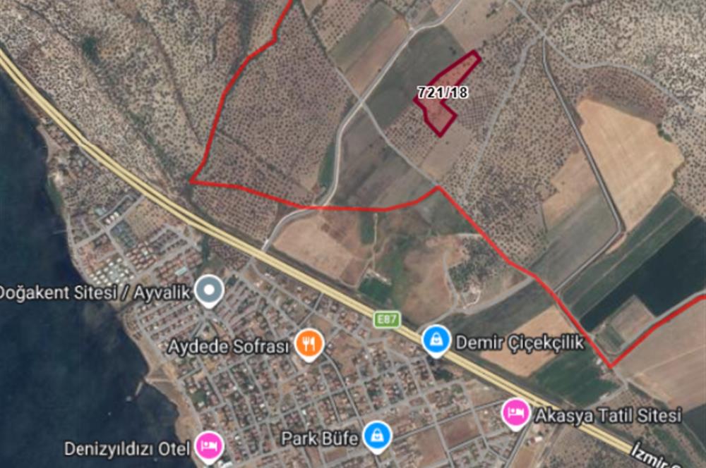 C21 Bal'dan Balıkesir Ayvalık Gazi Kemalpaşa’da Satılık Zeytinlik