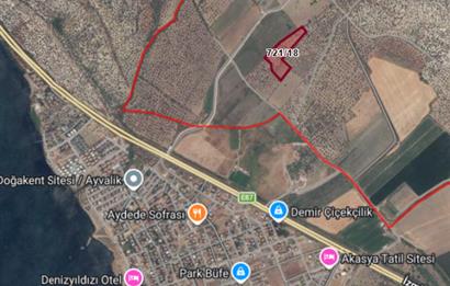 C21 Bal'dan Balıkesir Ayvalık Gazi Kemalpaşa’da Satılık Zeytinlik