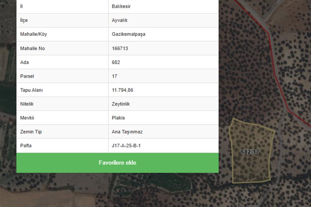 C21 Bal'dan Balıkesir Ayvalık Gazi Kemalpaşa’da Satılık Zeytinlik