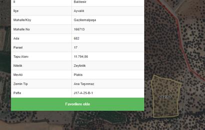 C21 Bal'dan Balıkesir Ayvalık Gazi Kemalpaşa’da Satılık Zeytinlik