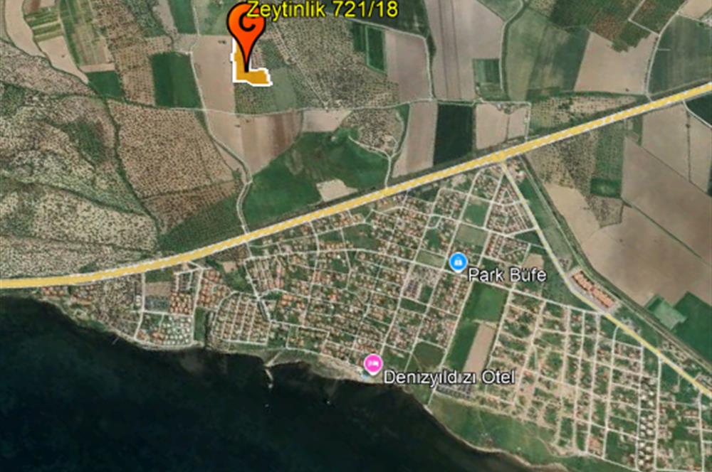 C21 Bal'dan Balıkesir Ayvalık Gazi Kemalpaşa’da Satılık Zeytinlik