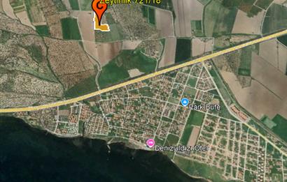 C21 Bal'dan Balıkesir Ayvalık Gazi Kemalpaşa’da Satılık Zeytinlik