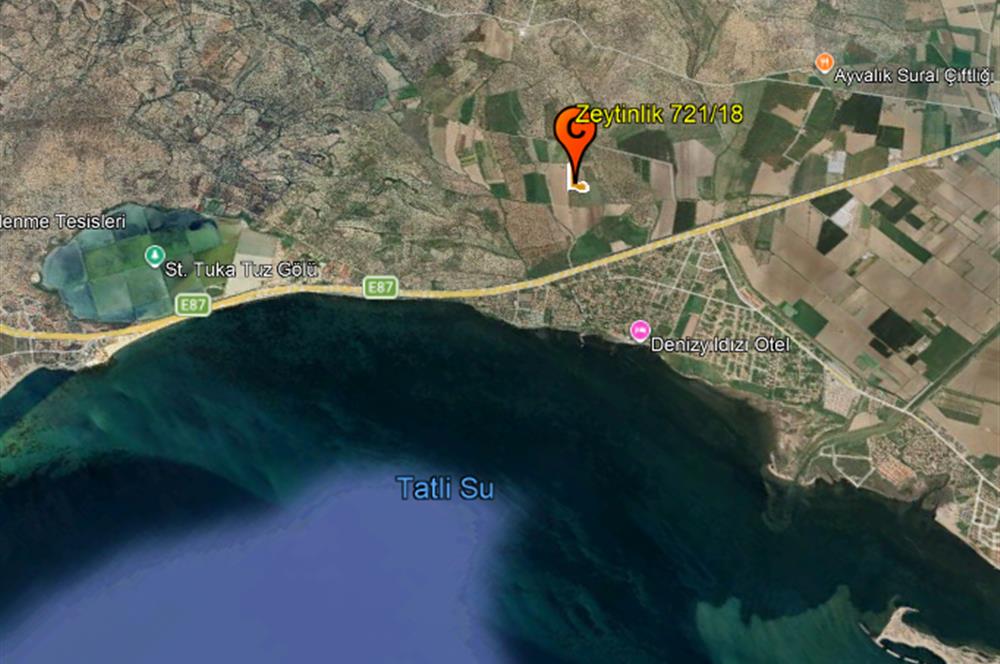 C21 Bal'dan Balıkesir Ayvalık Gazi Kemalpaşa’da Satılık Zeytinlik