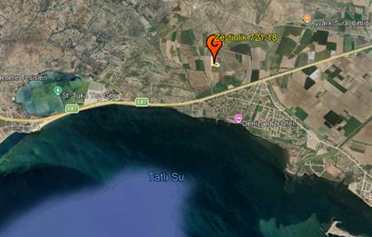 C21 Bal'dan Balıkesir Ayvalık Gazi Kemalpaşa’da Satılık Zeytinlik