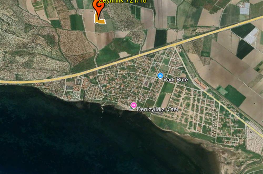 C21 Bal'dan Balıkesir Ayvalık Gazi Kemalpaşa’da Satılık Zeytinlik