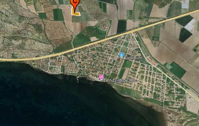 C21 Bal'dan Balıkesir Ayvalık Gazi Kemalpaşa’da Satılık Zeytinlik