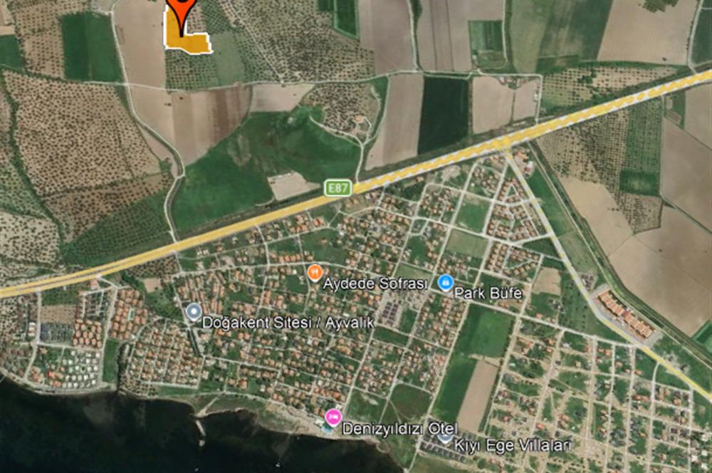 C21 Bal'dan Balıkesir Ayvalık Gazi Kemalpaşa’da Satılık Zeytinlik