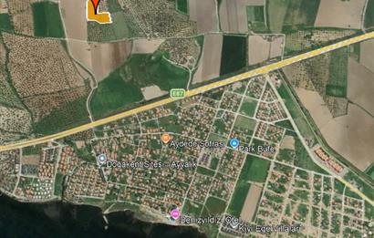 C21 Bal'dan Balıkesir Ayvalık Gazi Kemalpaşa’da Satılık Zeytinlik