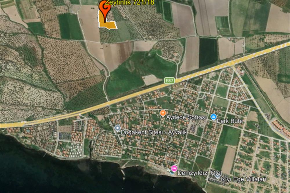 C21 Bal'dan Balıkesir Ayvalık Gazi Kemalpaşa’da Satılık Zeytinlik