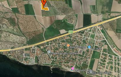 C21 Bal'dan Balıkesir Ayvalık Gazi Kemalpaşa’da Satılık Zeytinlik