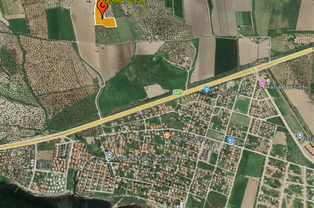 C21 Bal'dan Balıkesir Ayvalık Gazi Kemalpaşa’da Satılık Zeytinlik