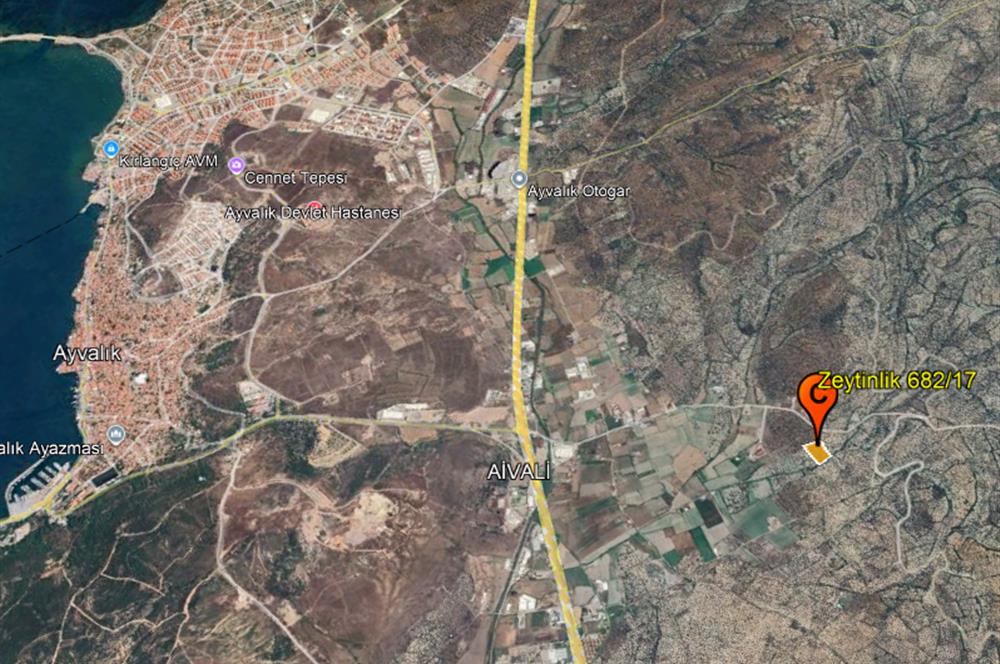 C21 Bal'dan Balıkesir Ayvalık Gazi Kemalpaşa’da Satılık Zeytinlik