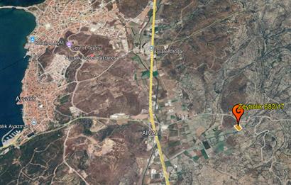 C21 Bal'dan Balıkesir Ayvalık Gazi Kemalpaşa’da Satılık Zeytinlik