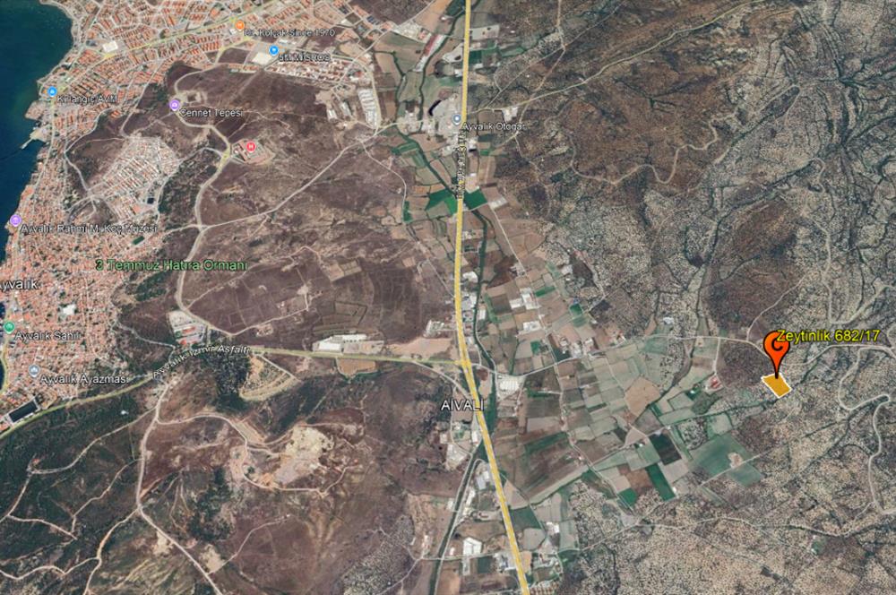C21 Bal'dan Balıkesir Ayvalık Gazi Kemalpaşa’da Satılık Zeytinlik