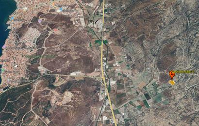 C21 Bal'dan Balıkesir Ayvalık Gazi Kemalpaşa’da Satılık Zeytinlik