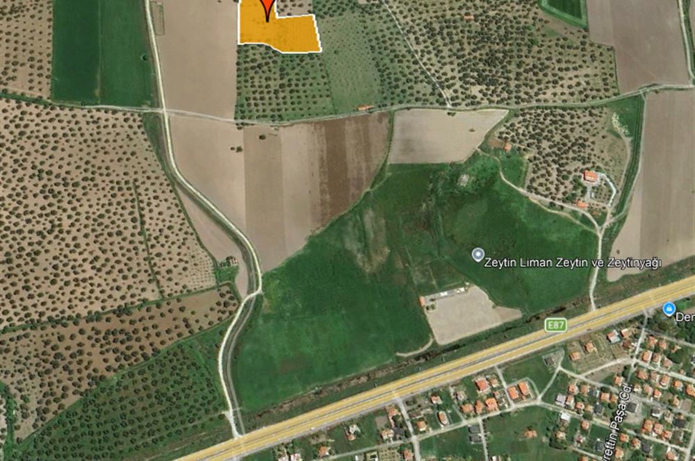 C21 Bal'dan Balıkesir Ayvalık Gazi Kemalpaşa’da Satılık Zeytinlik