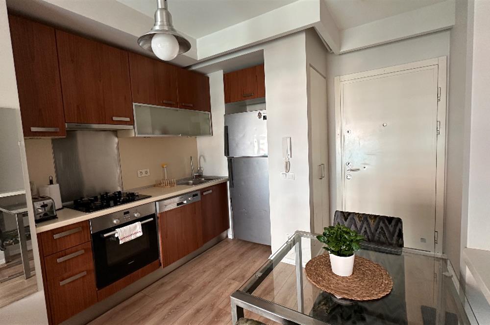 Soyak Optimus kiralık 1 + 1