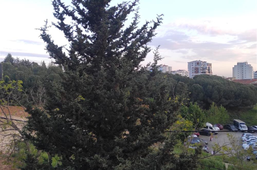 İstanbul Pendik Esenyali Mah. Satılık 236 m2 arsa