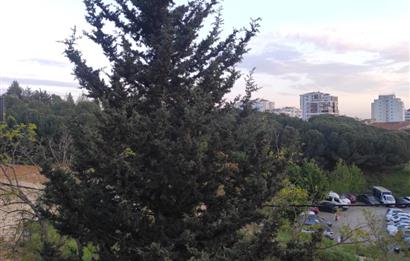 İstanbul Pendik Esenyali Mah. Satılık 236 m2 arsa