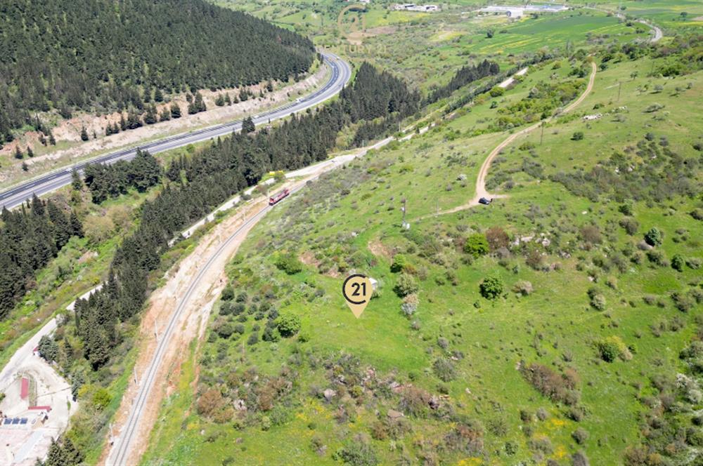 C21 BAL'DAN FEVKALADE KONUMDA KENT ORMANI VE OTOYOLA NAZIR MÜLK