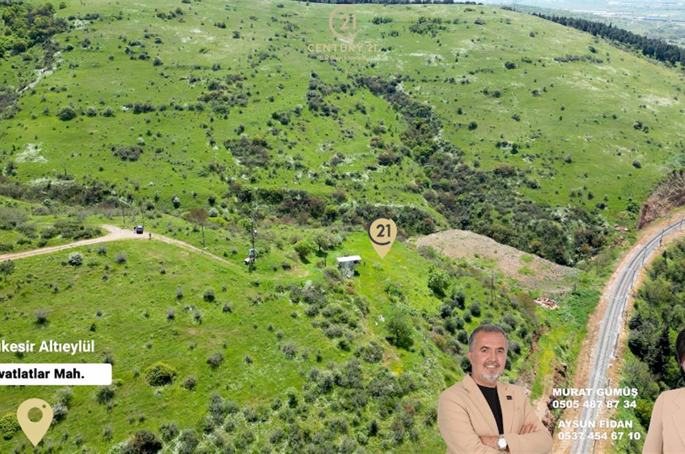 C21 BAL'DAN FEVKALADE KONUMDA KENT ORMANI VE OTOYOLA NAZIR MÜLK