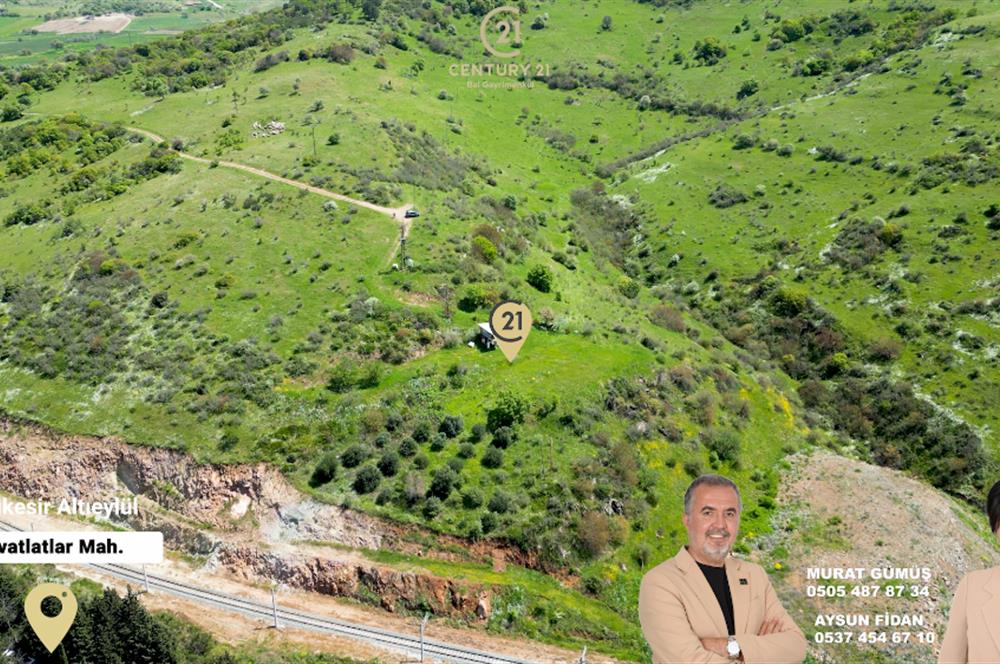 C21 BAL'DAN FEVKALADE KONUMDA KENT ORMANI VE OTOYOLA NAZIR MÜLK
