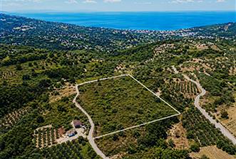 Yalova Armutlu Fıstıklıda Manzaralı 7.185 m² Satılık Tarla - 11 - 34112