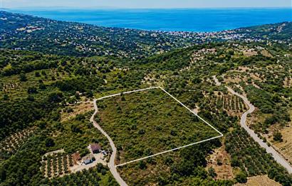 Yalova Armutlu Fıstıklıda Manzaralı 7.185 m² Satılık Tarla