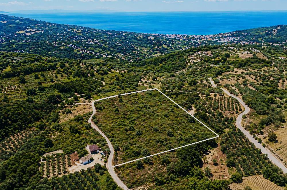 Yalova Armutlu Fıstıklıda Manzaralı 7.185 m² Satılık Tarla