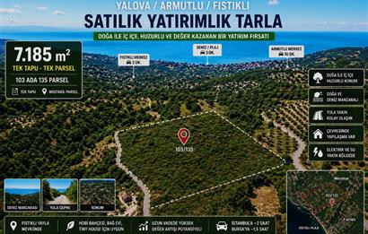 Yalova Armutlu Fıstıklıda Manzaralı 7.185 m² Satılık Tarla