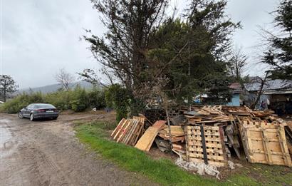  İstanbul Beykoz Cumhuriyet Mahallesi’nde satılık tarla