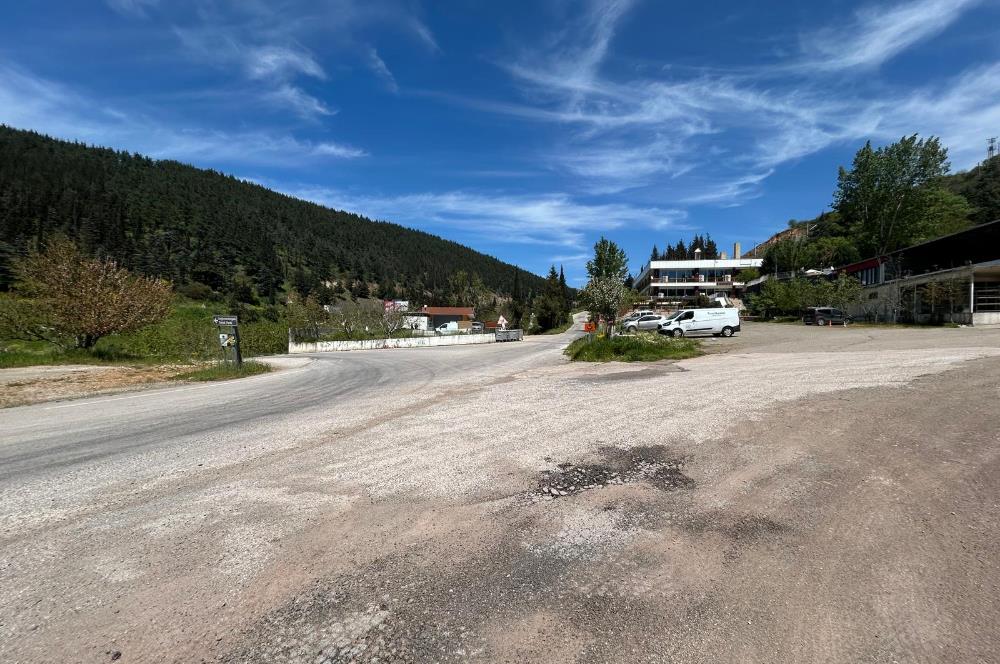 C21 BAL'DAN FEVKALADE KONUMDA KENT ORMANI VE OTOYOLA NAZIR MÜLK