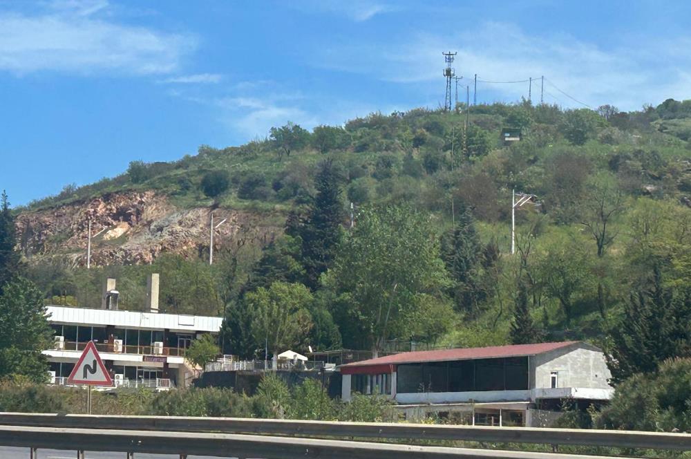 C21 BAL'DAN FEVKALADE KONUMDA KENT ORMANI VE OTOYOLA NAZIR MÜLK