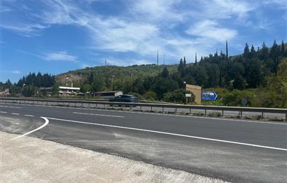 C21 BAL'DAN FEVKALADE KONUMDA KENT ORMANI VE OTOYOLA NAZIR MÜLK
