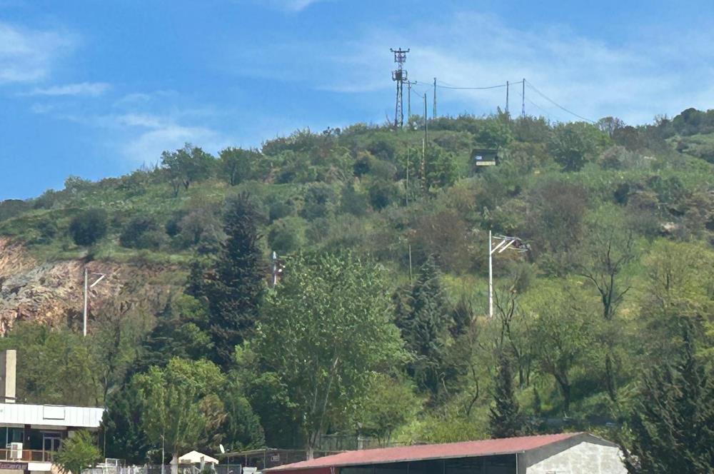 C21 BAL'DAN FEVKALADE KONUMDA KENT ORMANI VE OTOYOLA NAZIR MÜLK