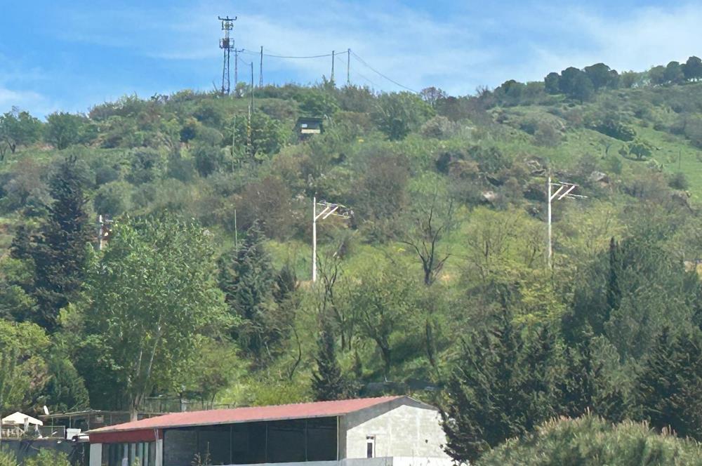 C21 BAL'DAN FEVKALADE KONUMDA KENT ORMANI VE OTOYOLA NAZIR MÜLK
