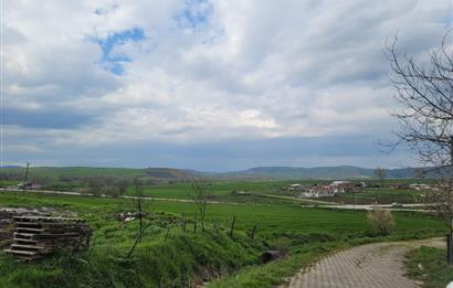 C21 BAL'DAN KARESİ KAMÇILI KÖYÜNDE SATILIK HAVUZLU MÜSTAKİL EV