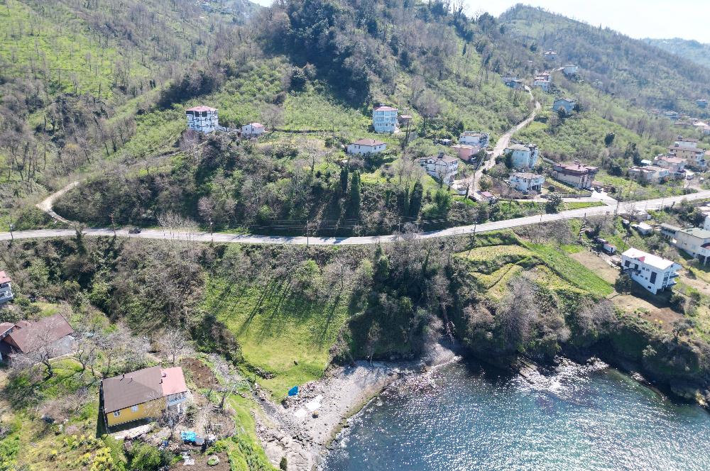 CENTURY21'DEN DENİZE SIFIR ÖZEL ALAN FIRSATI!